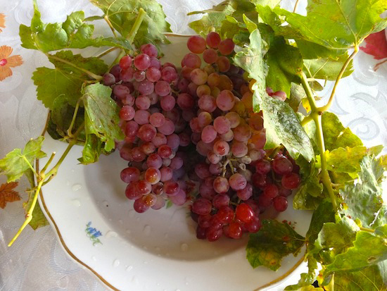 Fresh Grapes